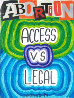 cover image of We Need Accessible Abortions
